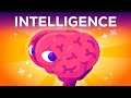 Qu'est-ce que l'intelligence ? Où commence-t-elle ?