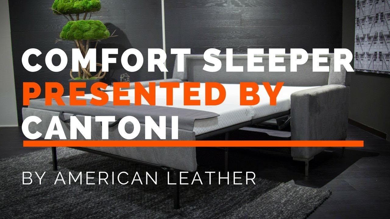 The Comfort Sleeper by American Leather - Presented by Cantoni