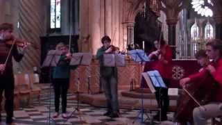 NYO Spring 2014: Tchaikovsky - Souvenir de Florence