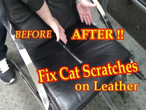 Fix Cat Scratches on a Black Leather Chair