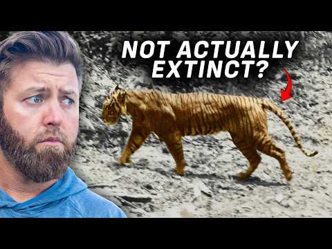 5 Extinct Animals That I Believe Could Still Be Alive...