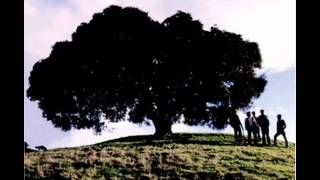 Sherwood - The Town that you Live In