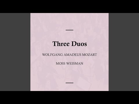 Three Duos No. 1, K. 487: I. Allegro