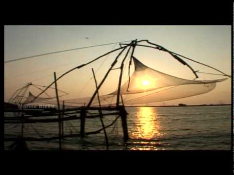 Chinese fishing nets