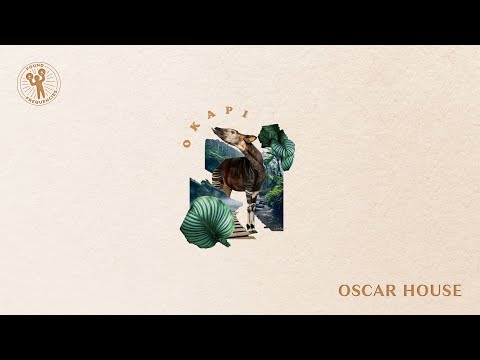 Oscar House - Okapi