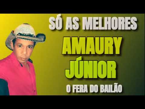 SELEÇÃO DAS MELHORES MÚSICAS - AMAURY JÚNIOR O FERA DO BAILÃO ( SÓ PRA CURTIR EM 2021 )
