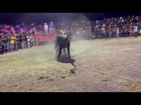 rancho San Pedro toro el pirata vs aguila de San Jacinto