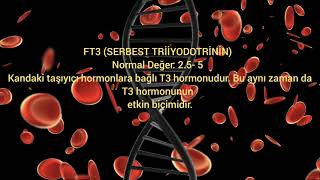 Hormon tetkikleri /laboratuvar testler