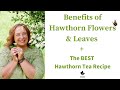 Medicinal Flowers | Benefits of Hawthorn Flowers + Hawthorn Tea Recipe