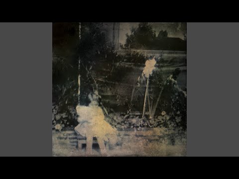 My Hands Make Shapes