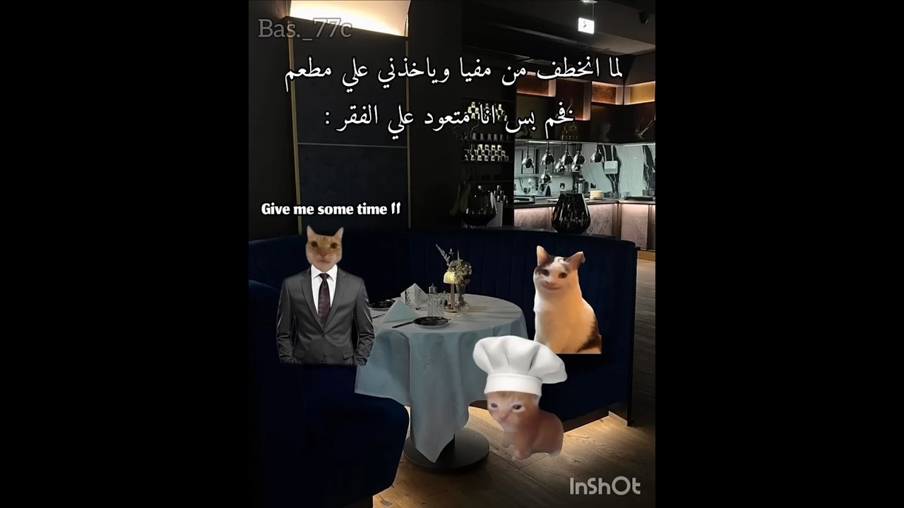 اخر فيد في قناتي#لايك_اشتراك #fyp #funny #comedy #cat #mafia