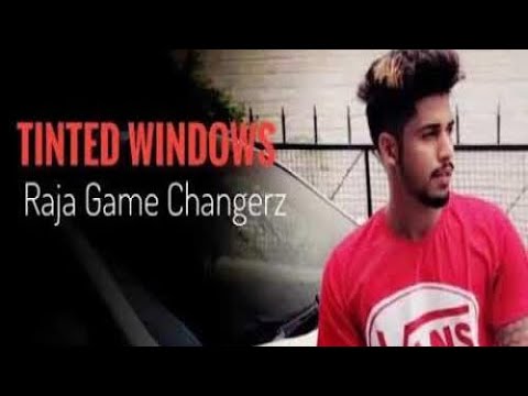Tinted Windows