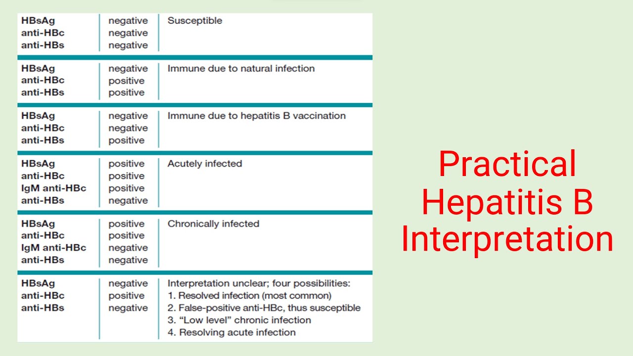 แปลผล Hepatitis B แบบเข้าใจง่าย + ใช้ได้จริง - Practical Hepatitis B Interpretation