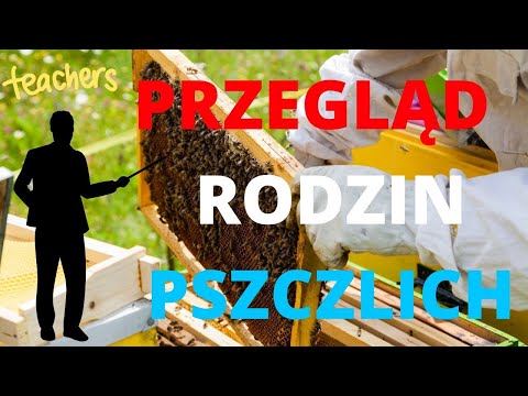 , title : 'Pszczoły #przegląd rodzin pszczelich #pszczoły #miód #pasieka'
