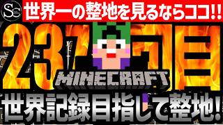 【🔴Minecraft】目指せ世界記録！整地ノルマ達成するまで今夜も眠れない‼️～237回目～
