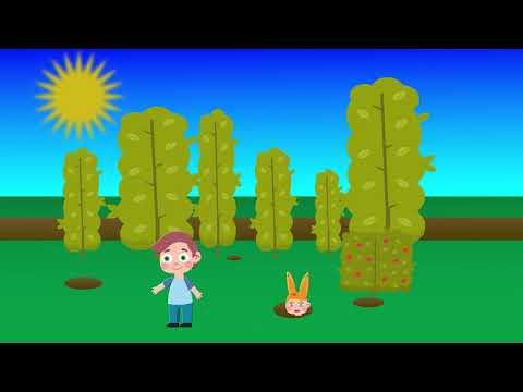 SEKA KIDS - ECI PECI PEC @SekaKids