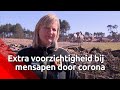 Extra voorzichtigheid bij mensapen door corona