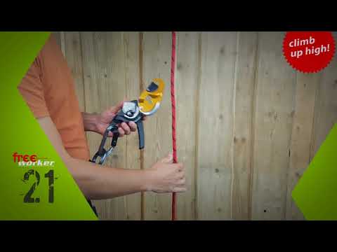 Petzl RIG 2018 Descender