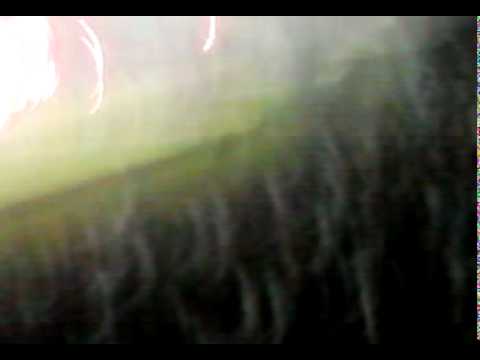 DERBI-2011 TORCIDA DO GUARANI DOMINANDO O CHIQUEIRO