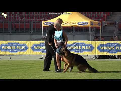 1153 Zandamor Franco - TSB BSZS-2023