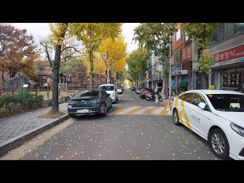 [City Tour na Coreia] Daegu - Área residencial do sudoeste em novembro