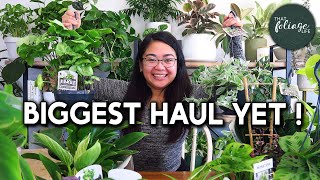 The Biggest Houseplant HAUL!!