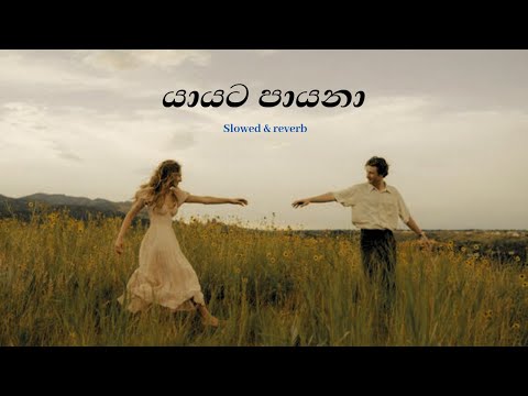 Yayata Payana යායට පායනා (slowed+reverb)