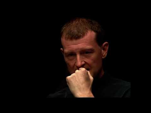 Nick Van Den Berg vs Steve Davis | 2001 World Pool Championship | Highlights