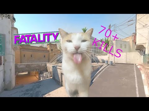 Fatality.win vs Plaguecheat.cc mm 1v3 70+ kills