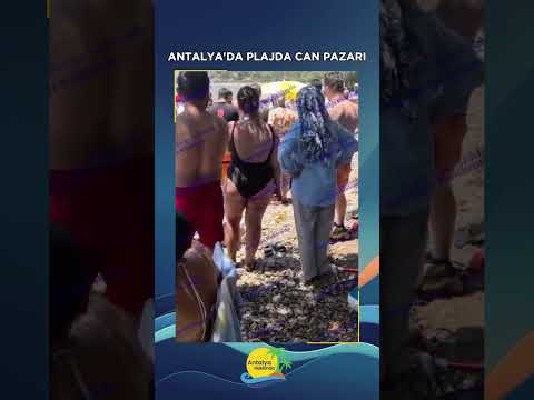 Antalya'da plajda can pazarı yaşandı!