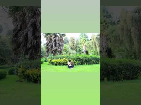 ለትዝታ ያኽል ነው