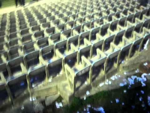 "PEÑAROL 0 - 1 LIVERPOOL FECHA 11 CLAUSURA 2012 | LOS VOLVIMOS A COJER..." Barra: Los Negros de la Cuchilla &bull; Club: Liverpool de Montevideo