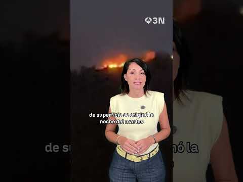 🔝 📰 #TopNews | ¿Y si el viaje más largo fuera también el más tranquilo?
