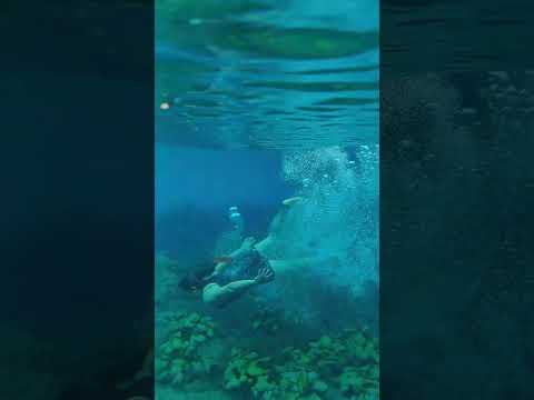 Río Yaxtunila Las Cruces Petén en Guatemala #videos