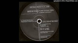 Transits Of Tone - Planet Of Palm Trees