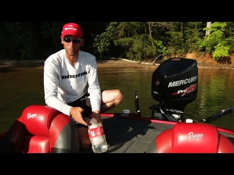 Tips for Keeping Bass Healthy in Livewells