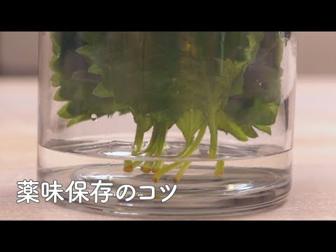 主婦のお悩み解決！薬味保存のコツをご紹介！セリア（Seria）の便利グッズは必見！