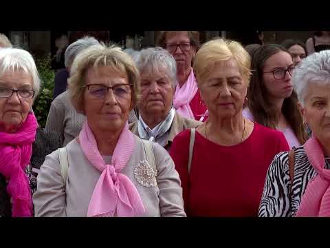 Videó előnézet
