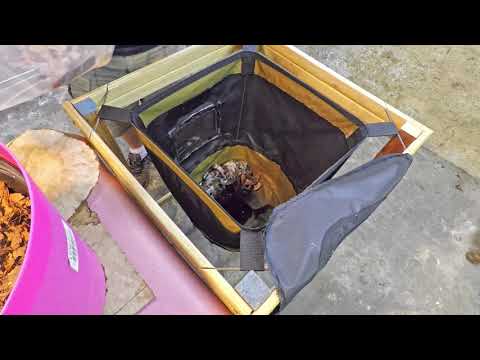 Relocation of night crawlers into VermiBags - vermicomposting