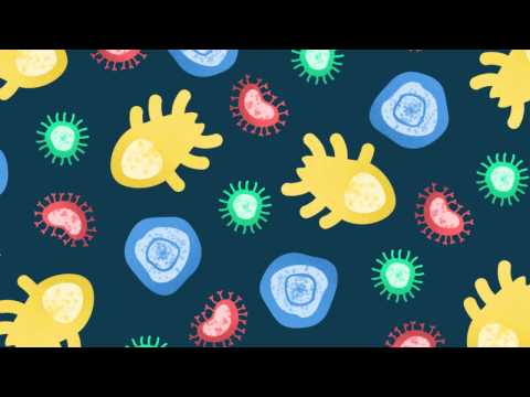 FAO and antimicrobial resistance