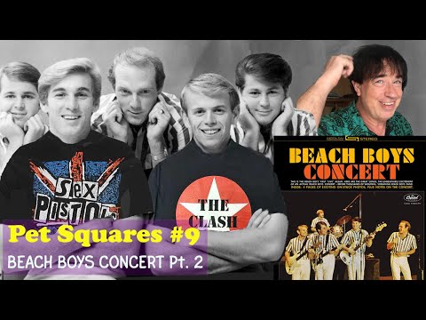 PET SQUARES #9 Beach Boys Concert Part 2 (Geek's Guide to the Beach Boys)