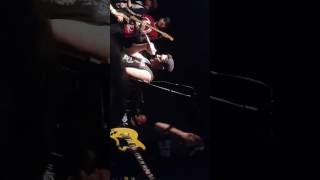 Satanic Surfers-  The treaty and The bridge