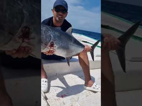 Lakshadweep Moments 2022