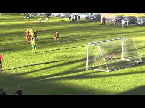 Kabel-tv: Straff för Borgstena