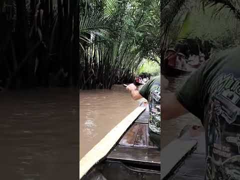 ROWING BOAT AT MEKONG RIVER