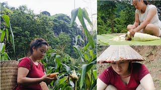 18 and Living Under a Bamboo Roof – Rebuilding Life from Soil, Rain, and Memories | Week 3