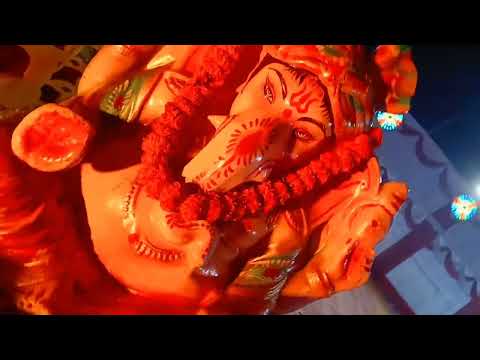 WEEDING FLOWER DECORATION ||RANDHIR FLOWER COLLECTION 001||#flowers #weeding #flowerdecoration