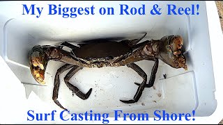 Shore Casting For Samoan/Sole Crab? Accidental By-Catches!