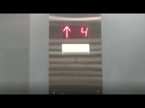 AWESOME Schindler Elevators at the Hotel Zypher Fisherman's Wharf in San Francisco