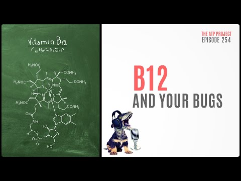 The ATP Project 254 - B12 and Your Bugs